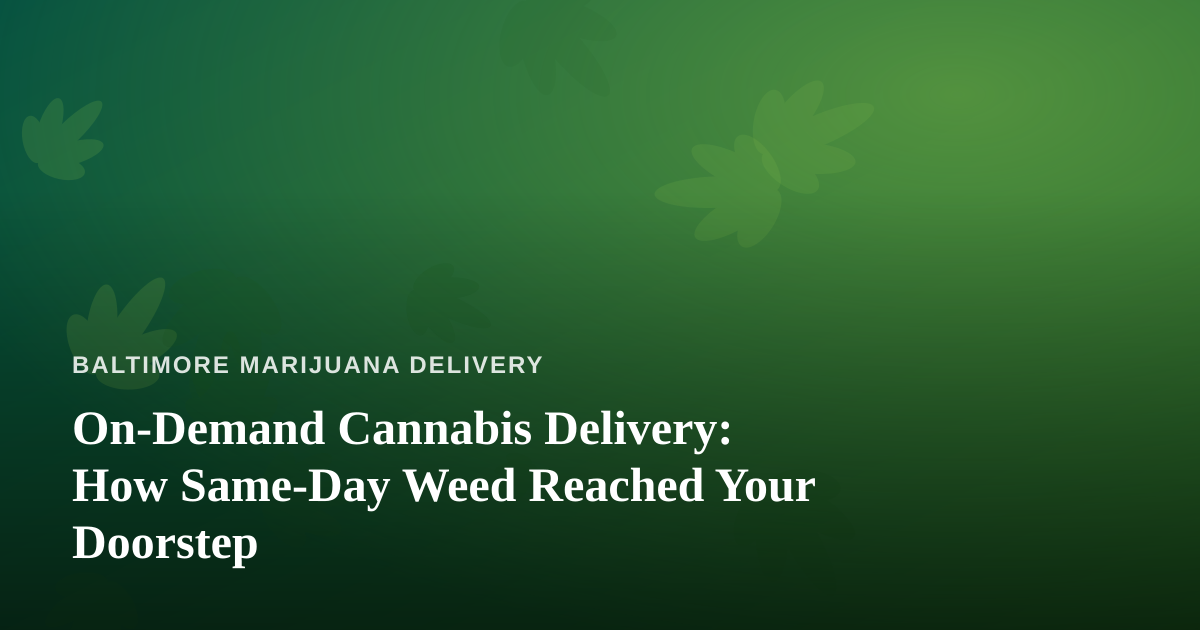 On-Demand Cannabis Delivery: How Same-Day Weed Reached Your Doorstep
