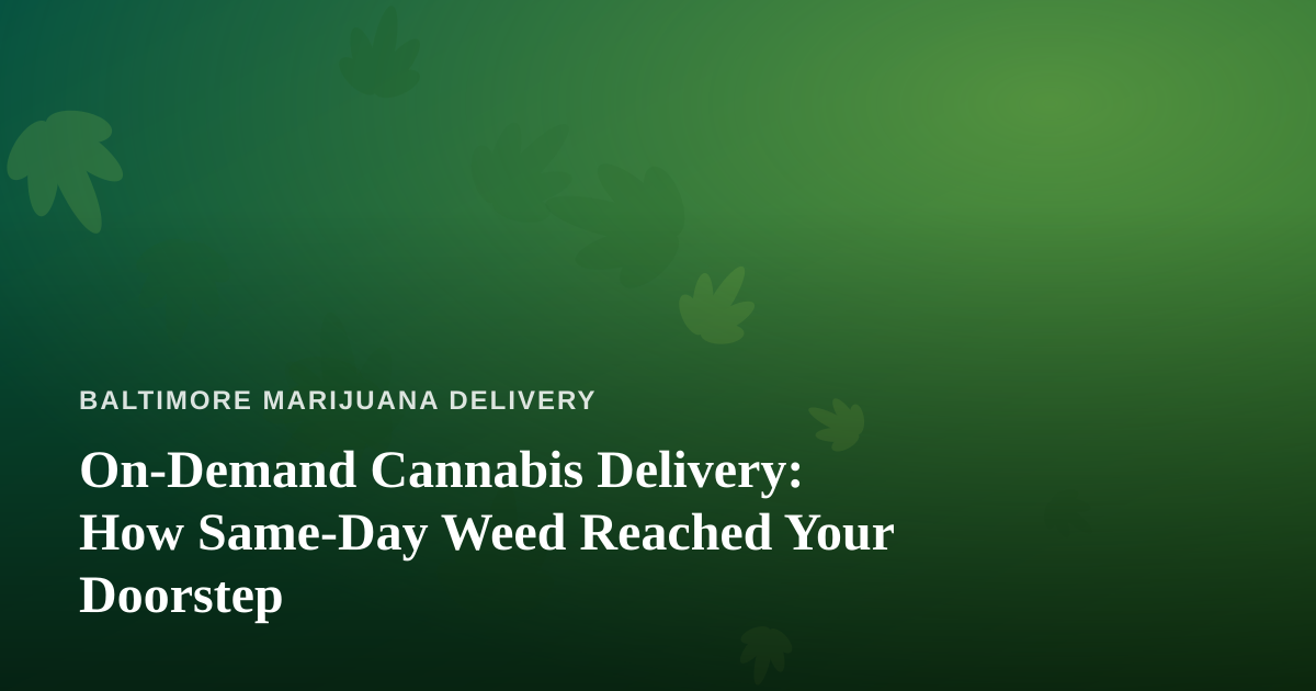 On-Demand Cannabis Delivery: How Same-Day Weed Reached Your Doorstep